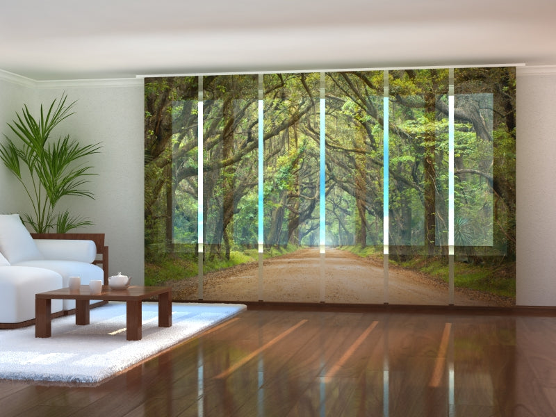 Set of 6 Panel Curtains Oak Trees in Australian Botany Bay