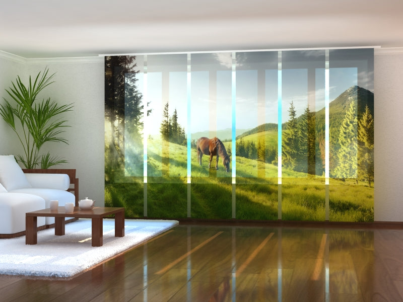 Set of 6 Panel Curtains One Morning