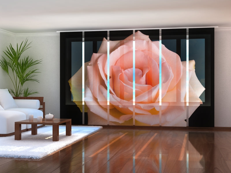 Set of 6 Panel Curtains Peach Rose