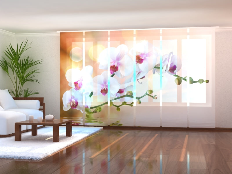 Set of 6 Panel Curtains Perfect Orchid