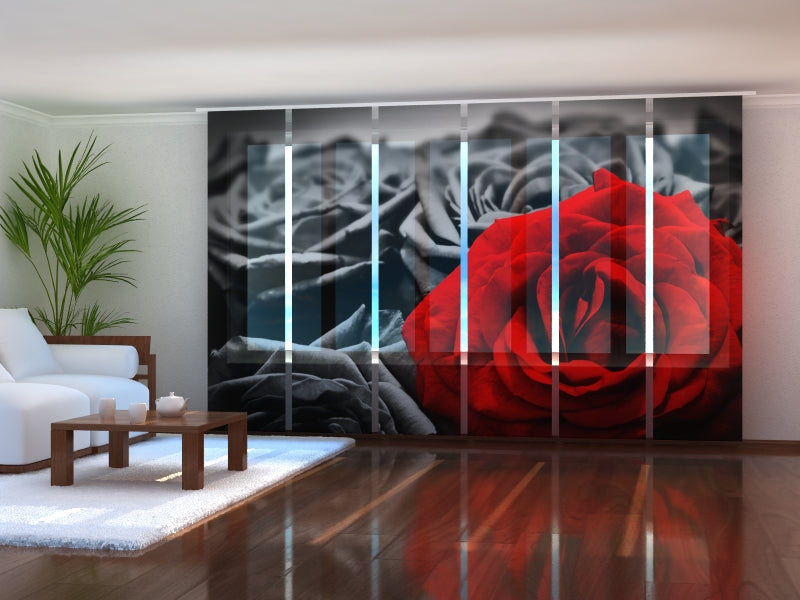 Set of 6 Panel Curtains Red Rose on Black and White
