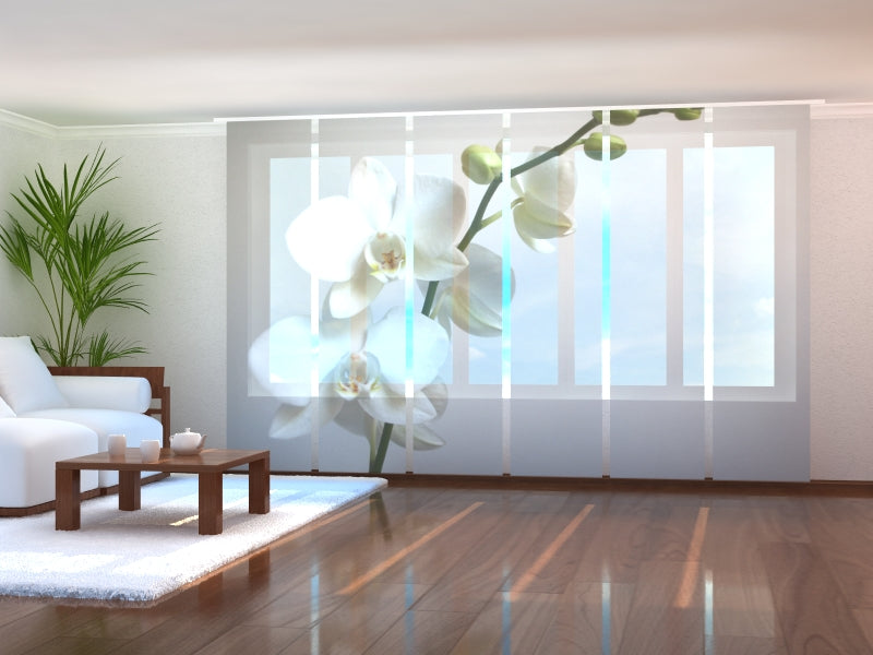 Juego de 6 cortinas Riga Orchid