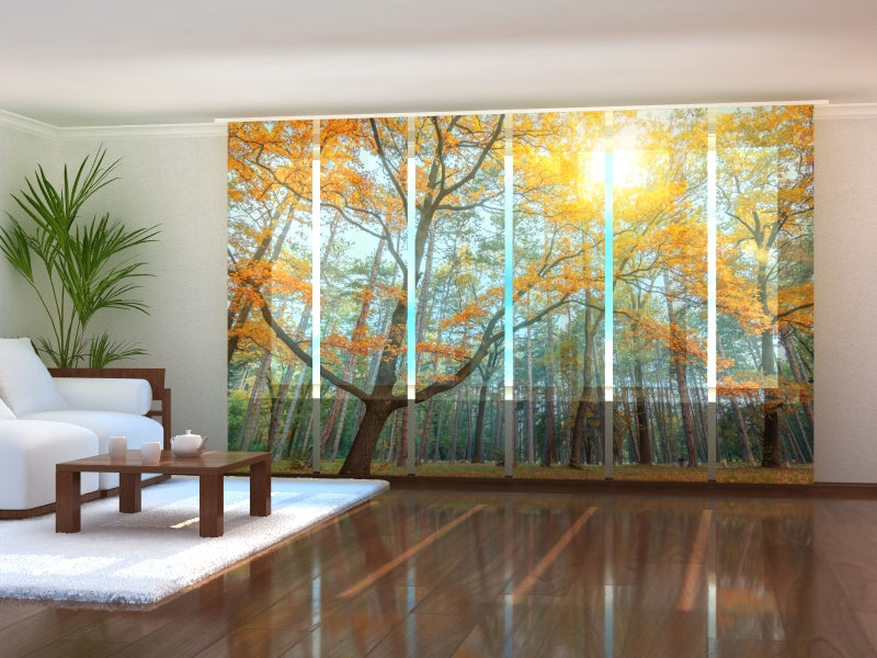 Set of 6 Panel Curtains Sun in the Forest