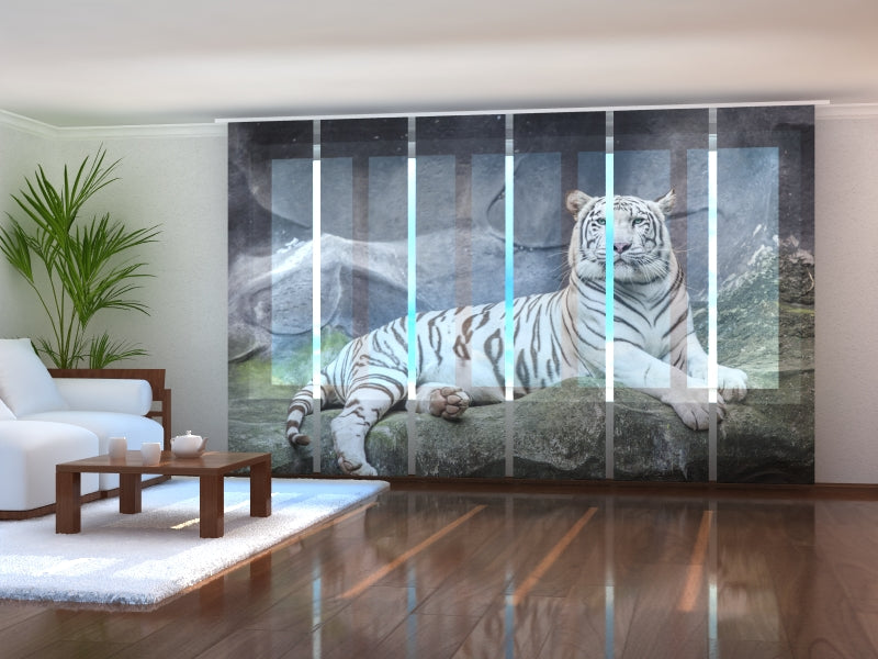 Set of 6 Panel Curtains White Tiger on a Rock