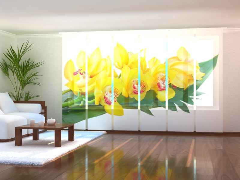 Set de 6 Paneles de Cortinas Orquídeas Amarillas