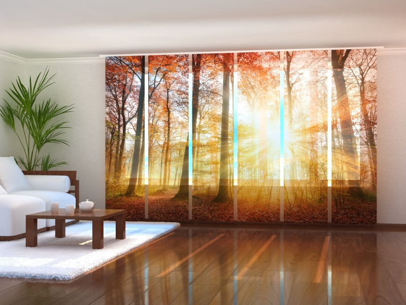 Sliding Panel Curtain Beautiful Autumn Sunlight in the Forest