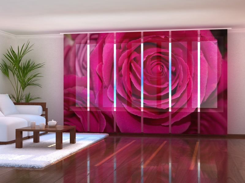 Sliding Panel Curtain Big Crimson Rose
