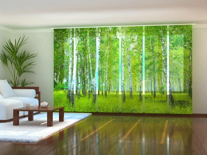 Rideau à panneaux coulissants Birch Grove