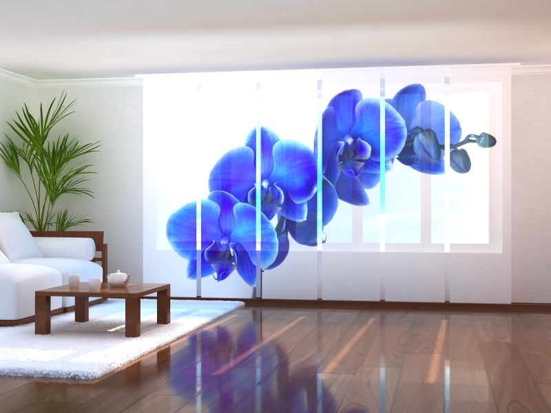 Set of 6 Panel Curtains Lovely Sapphire