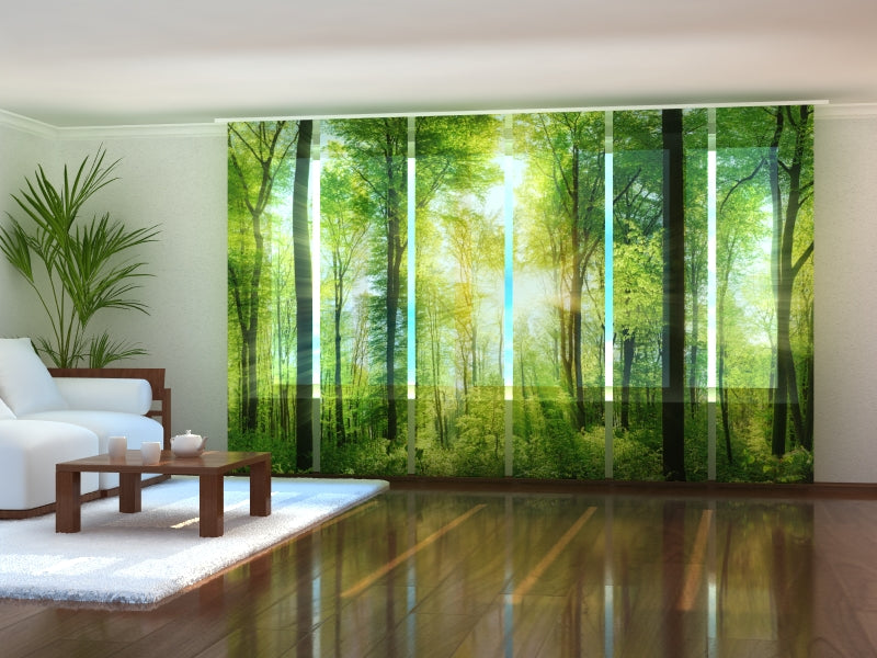 Set of 6 Panel Curtains Sun Rays