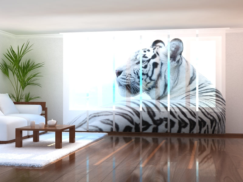Set of 6 Panel Curtains White Tiger 2