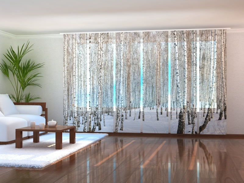 Ensemble de 6 panneaux rideaux forêt de bouleaux d'hiver