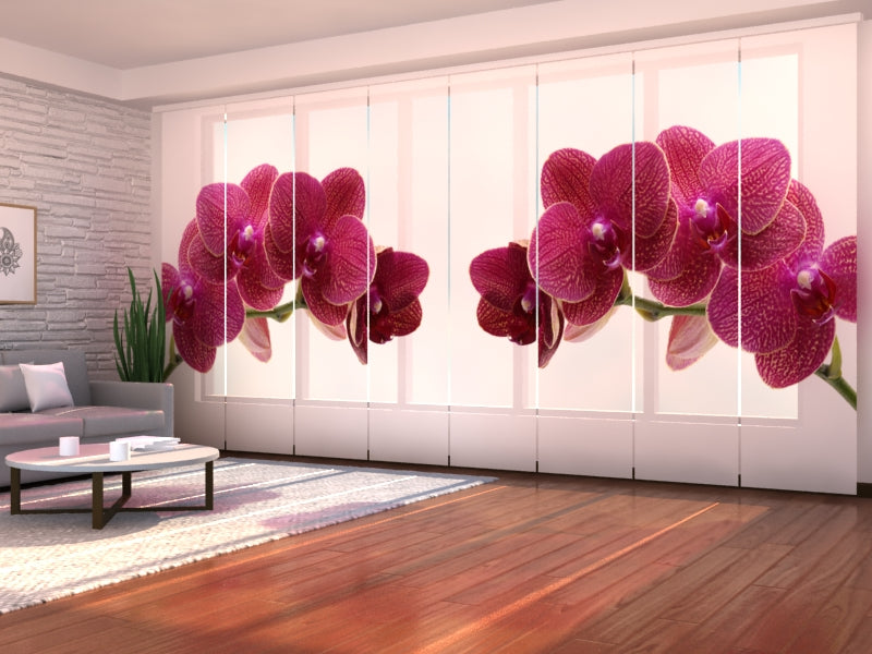 Lot de 8 Panneaux Rideaux Violet Bonheur