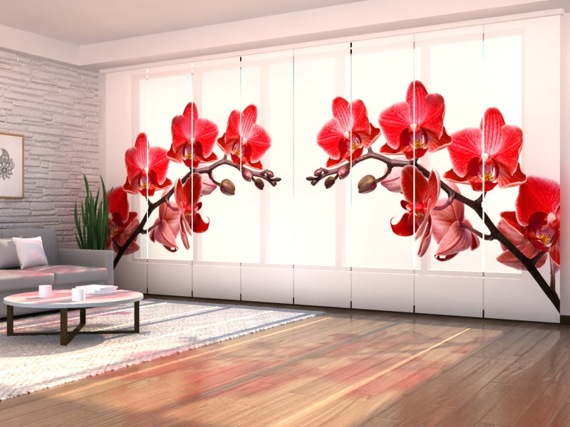 Set of 8 Panel Curtains Queen of Orchids