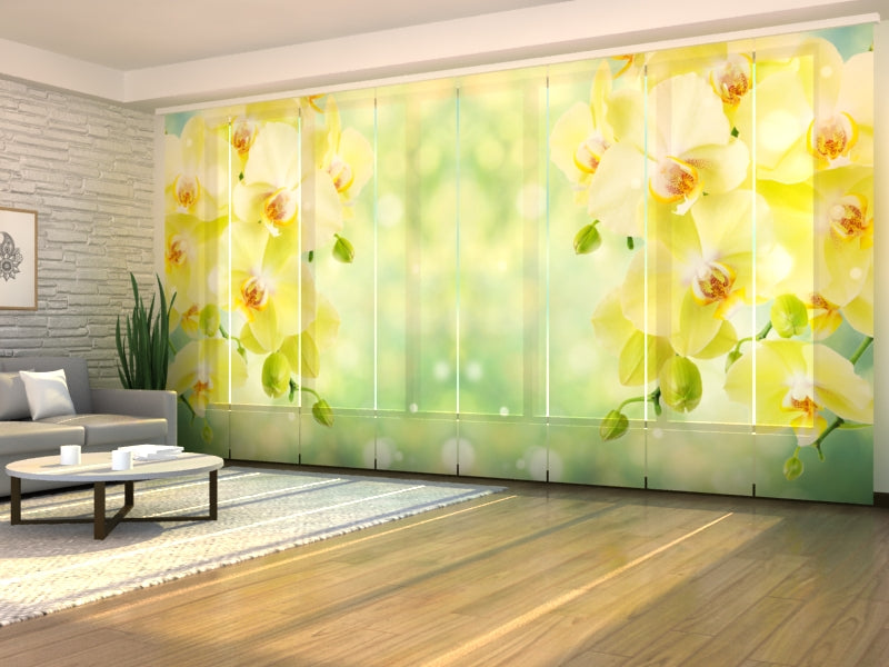 Sliding Panel Curtain Beautiful Lemon Orchids