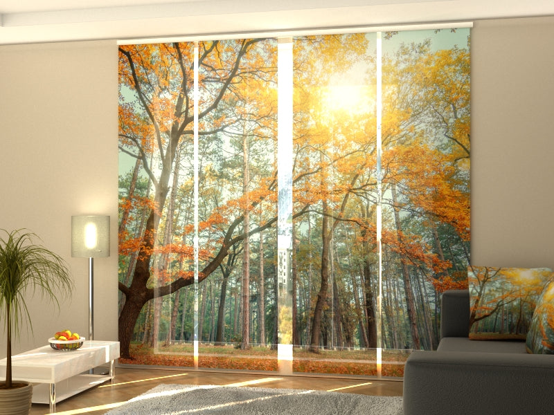 Set of 4 Panel Sun in the Forest