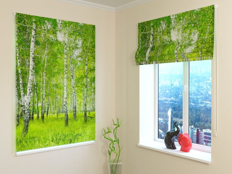 Bosquet de bouleaux aveugle romain