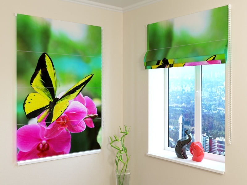 Roman Blind Bright Colours