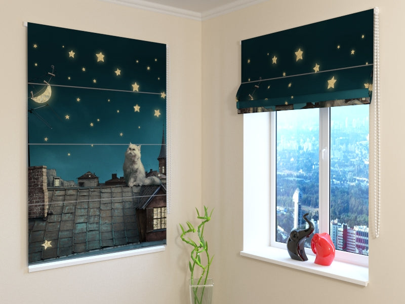 Roman Blind Cat on the Roof