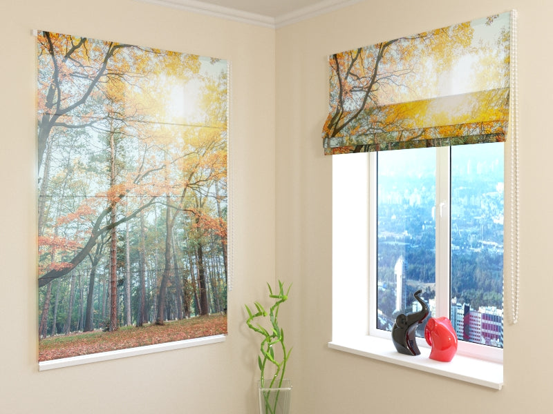 Roman Blind Sun in the Forest
