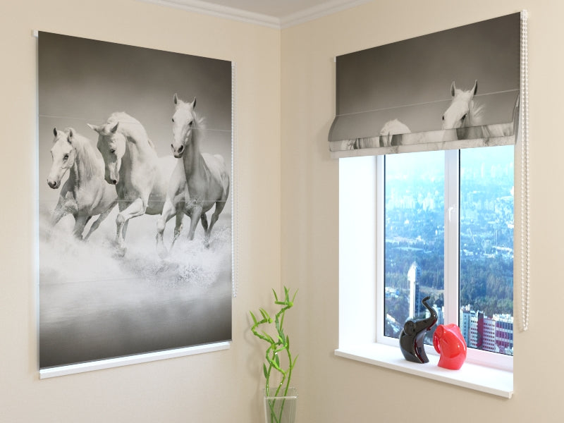 Roman Blind Gracefulness