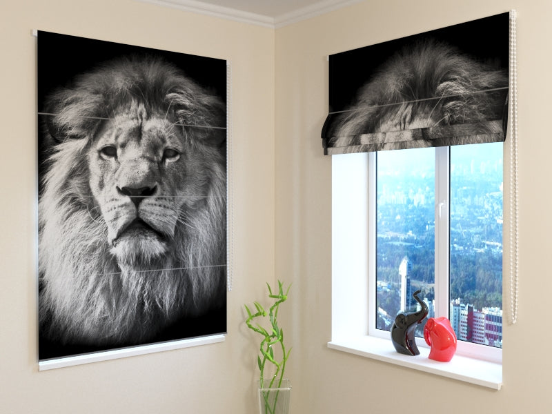 Roman Blind Lion in Black and White