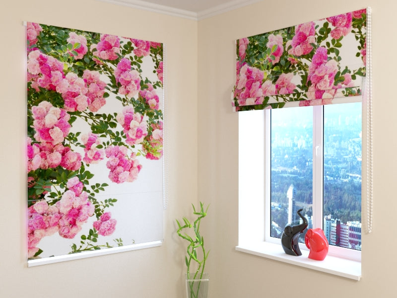 Roses de jardin roses aveugles romaines