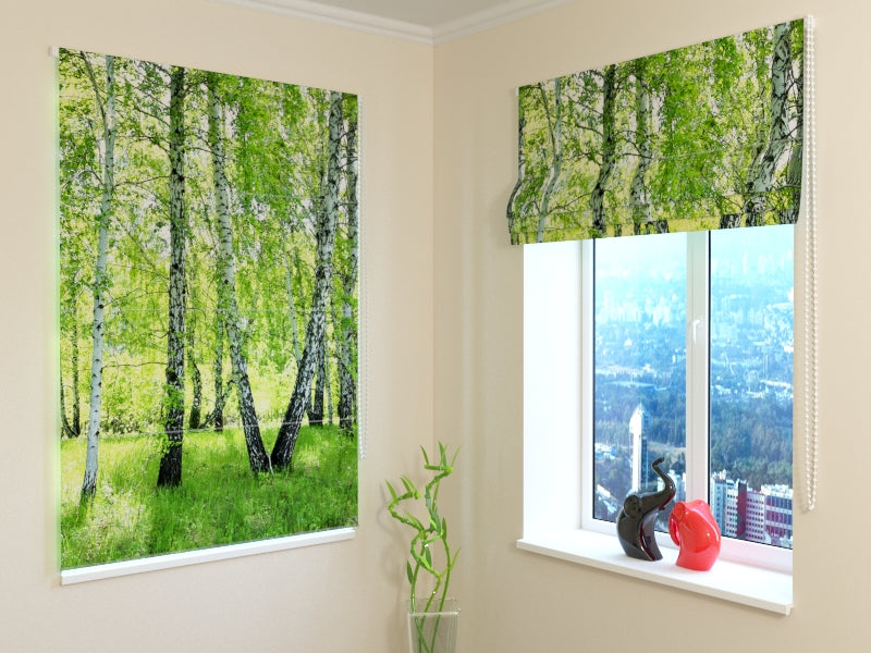 Forêt de bouleaux d'été aveugle romaine