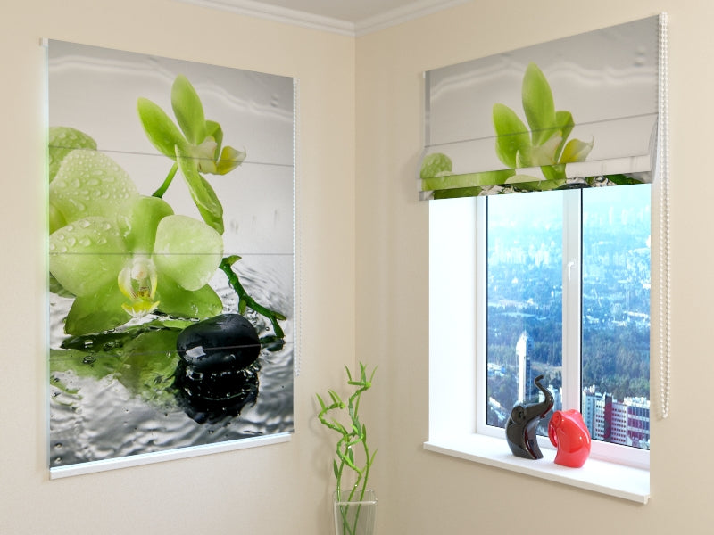 Roman Blind Pistachio Orchid