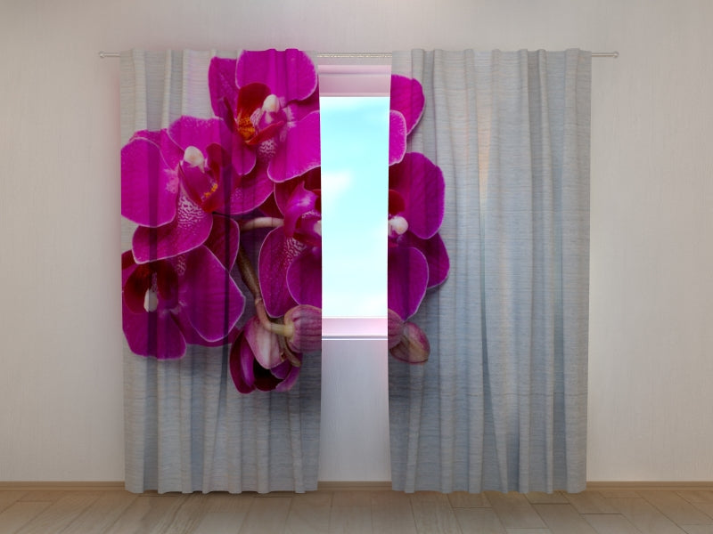 Photo Curtain Raspberry Orchid on a Gray Wood