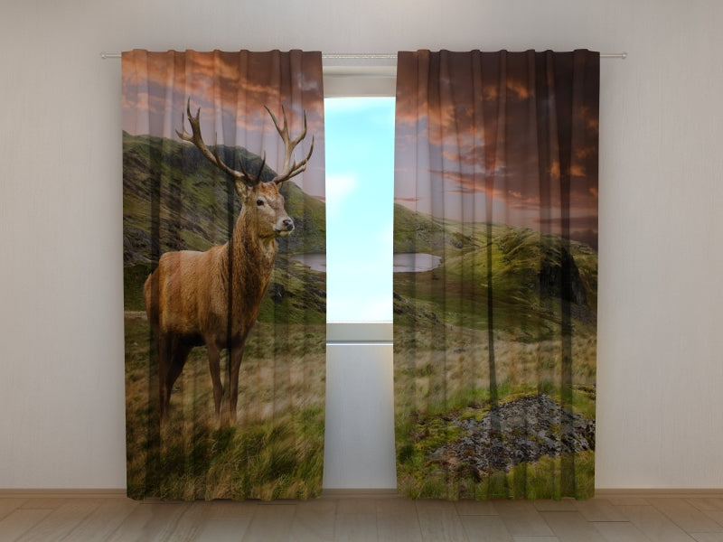 Photo Curtain Red Deer at Sunset