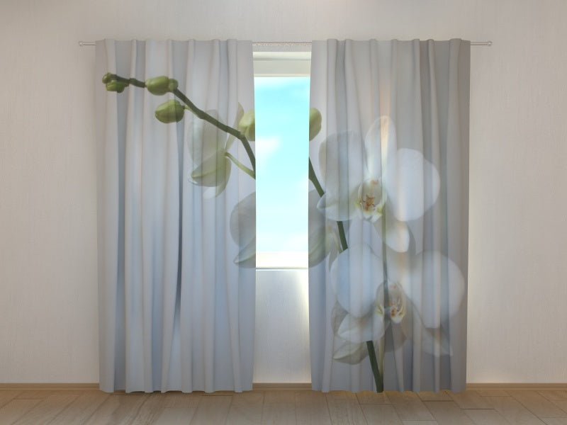 Photo Curtain Riga Orchid