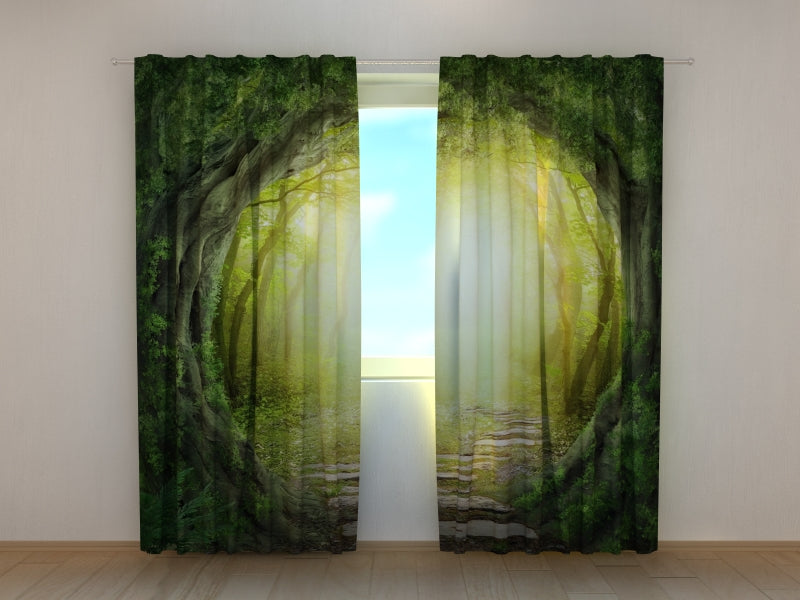 Route du rideau de photos vers la forêt magique