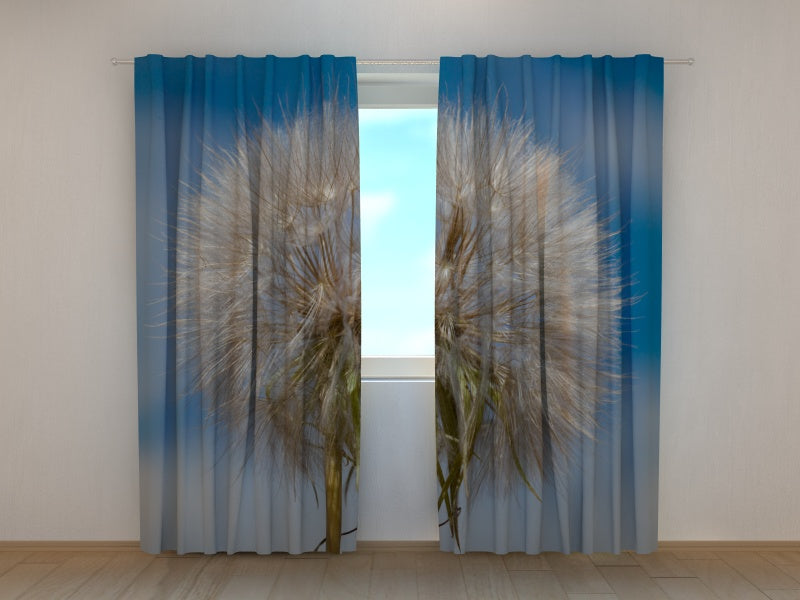 Photo Curtain Sky Dandelion