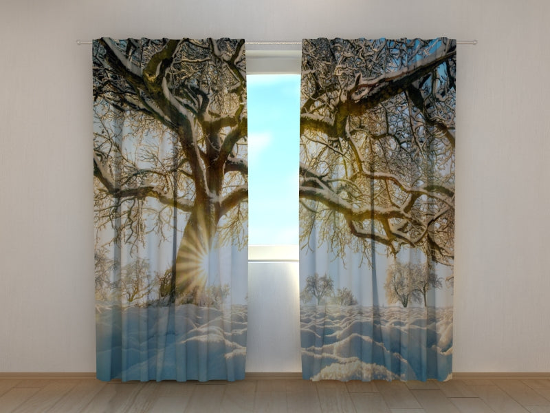 Photo Curtain Snow Covered Tree