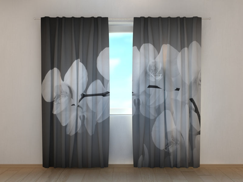 Photo Curtain Songs Orchids Black and White