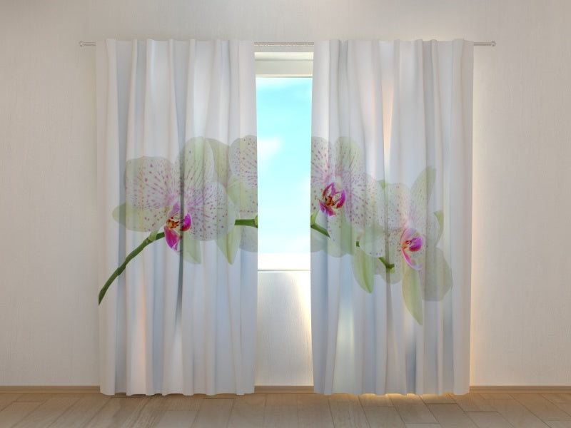 Photo Curtain Sprig of White Orchid