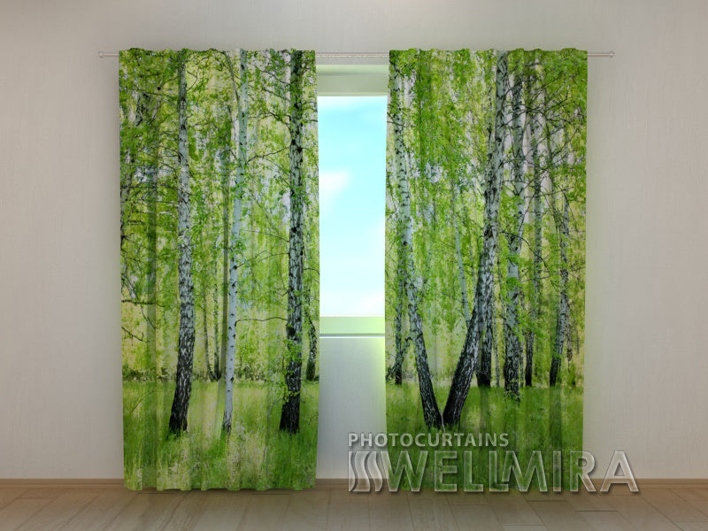 Photo Curtain Summer Birch Forest - Wellmira