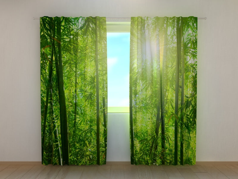 Photo Curtain Sun in Bamboo Forest