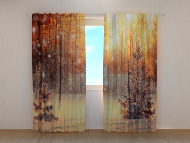 Photo Curtain Sunny Christmas Evening in the Forest
