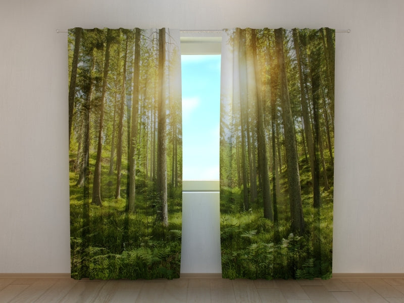 Photo Curtain Sunny Forest