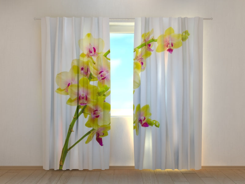 Photo Curtain Sunny Orchid 2
