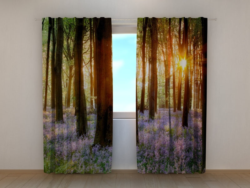 Photo Curtain Sunrise in the Beautiful Spring Forest
