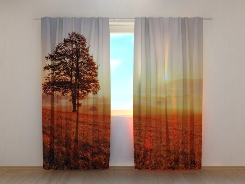 Photo Curtain Sunset and Tree