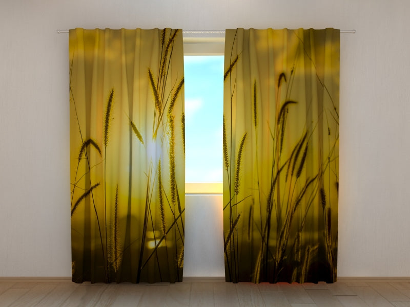 Photo Curtain Sunset in the Field