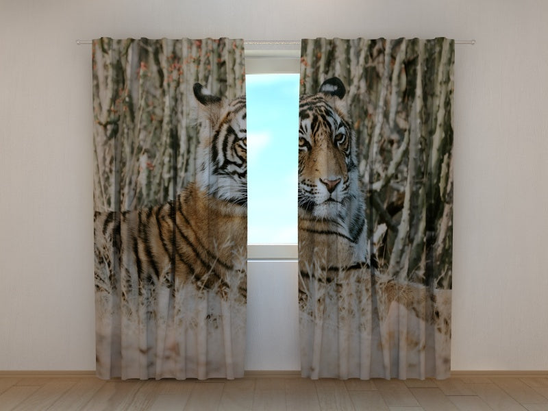 Photo Curtain Tiger Shayari