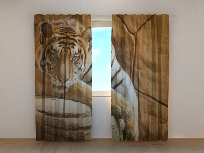 Photo Curtain Tiger on a Rock
