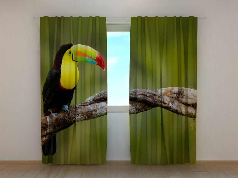 Photo Curtain Toucan on the Branch