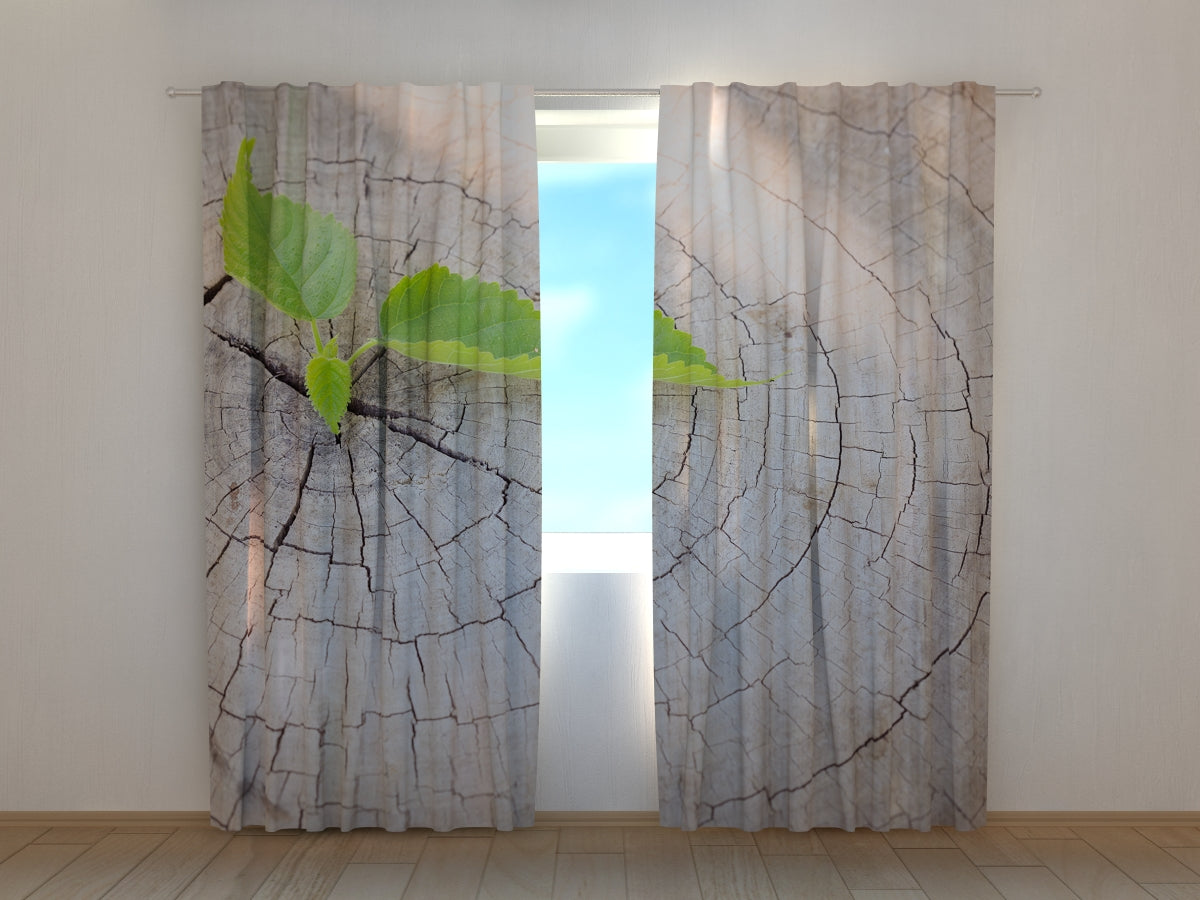 Photocurtain Tree Stump and Sprout - Wellmira