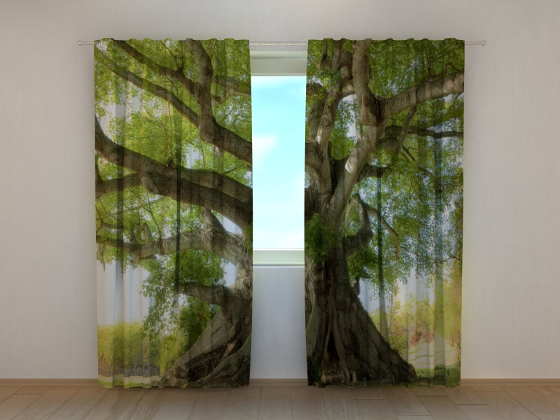 Photo Curtain Tree of Life